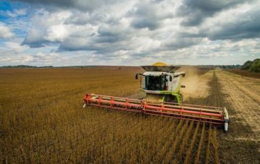 На Вінниччині зібрали понад половину зернових. Скільки вже намолотили