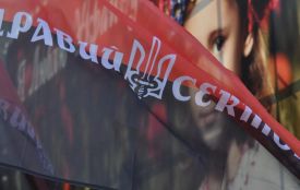 "Правий Сектор" ініціює референдум. Підписи у Вінниці збиратимуть з понеділка (ОПИТУВАННЯ)