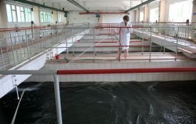 У Водоканалі розповіли, чому хлорують питну воду вінничанам