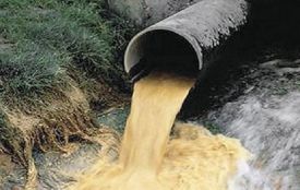 Вода у річці Південний Буг за рік стала бруднішою в 1,3 рази