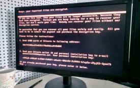 По Україні шириться комп'ютерний вірус: у Вінниці атаковані міськрада, Укрпошта , Ощадбанк і інші компанії