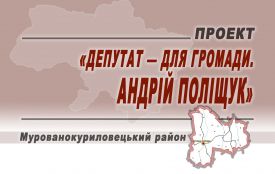 12 кадрів депутатських справ Андрія Поліщука (Прес-служба ГО "СПІНОЗА")