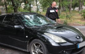 На Порика дерево впало на авто. Можливо, через пошкодження коріння екскаватором
