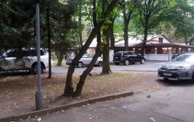 Автомобілі та мотоцикли у Центральному парку: їдемо в Європу?