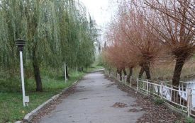 На Максимовича пропонують реконструювати територію та почистити ставок