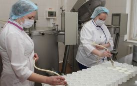 Молочна кухня досі не працює. Коли відновить роботу?