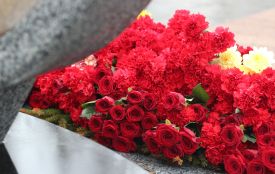 “Квітковий” бюджет: область витратила майже 86 тисяч гривень на тюльпани та гвоздики