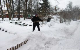 Снігова буря: про що треба пам'ятати водіям та пішоходам