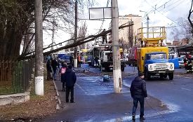 Буревій повалив дерево на дорогу в районі «Водоканалу»