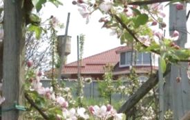«За два мільйони у.е. хотів продати бізнес».  Подружжя фермерів поховали поруч