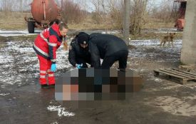 Сторож зарізав товариша і сховав тіло в старому автобусі. Вбивці винесли вирок