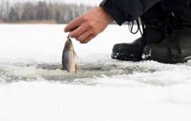 З 1 листопада забороняється ловити рибу. Але не скрізь. Де дозволено і якими знаряддями