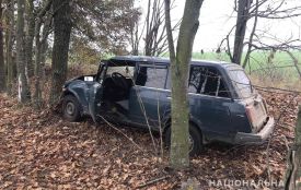 Серійні крадії тікали від поліції на викраденій машині, доки їх не зупинило дерево