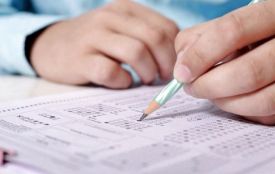 Учителі початкових класів перевіряли свої знання: 41 педагог склав ЗНО