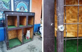 «Парковка» для собак біля «Сільпо». Ламають замки, бо садити тварину за грати не гуманно?