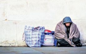 Вінницькі активісти збирають засоби дезінфекції для безхатьків