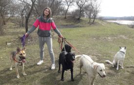 Чи змінив карантин життя собачника? Історії вінничан і поради експерта-кінолога