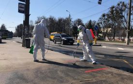 Ветеринар про дезінфекцію вулиць: чи можуть розчини зашкодити собакам на прогулянці