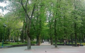 Розбійник відбивався сапою від прибиральниць, які відбирали у нього свою сумку