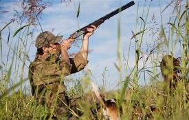 На Вінниччині відкривається сезон полювання на пернату дичину. Правила