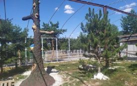 У Подільському зоопарку зводять вольєри для полярних вовків і для рисі