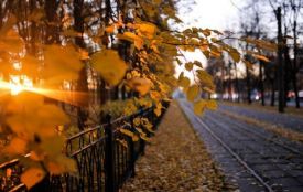 Якою буде погода в Україні восени: прогноз від народних синоптиків
