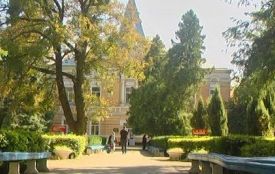 Художниці розмалювали дитяче відділення лікарні. Витратили близько 15 тисяч гривень