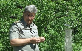 З короїдом, який знищує ліси Вінниччини, буде боротися мурахожук. Розповідь лісопатолога