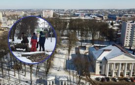 Чому в парку «Хімік» стали вирізати дерева