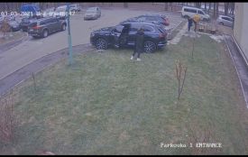 «То підстава» — каже водій Volkswagen, який на Поділлі відгамселив чоловіка. Що говорить поліція?