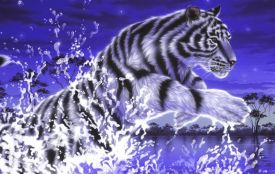 Новий 2022 рік: як зустріти Водяного Тигра, щоб привабити удачу