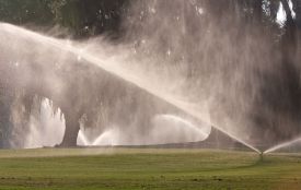 Сьогодні — поливаний понеділок. Традиції, забобони та що не можна робити