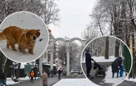 Зима у Вінниці: дивіться фоторепортаж із засніженого Центрального парку