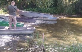 «Це просто катастрофа!» Чому гине риба у воді і що робити з мертвим «сріблом»?