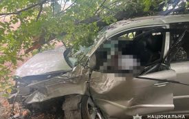 У Гайсинському районі Lexus в'їхав у дерево. Водійка загинула