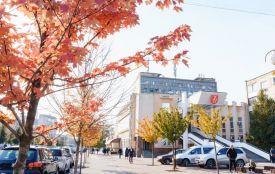 Відновили ДРАЦС на Замостянській, який постраждав від ракетного удару