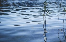 На Вінниччині рятувальники дістали з водойми потопельника