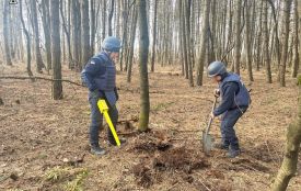 Надзвичайники Вінниччини знищили 125-міліметровий артснаряд