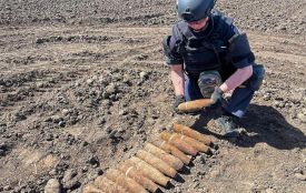 Надзвичайники знищили 16 артилерійських снарядів часів Другої світової війни