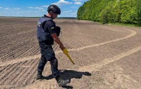 Сапери ДСНС знищили гранату та снаряд часів Другої світової