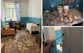 Бутерброди на вікнах і двері на мотузці: як живуть підопічні центру соцпослуг села Красне