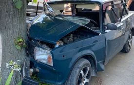 У Немирові водій ВАЗу врізався в дерево: у салоні були двоє дітей та жінка