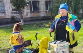 «Ми з Джесі ще попрацюємо на благо країни»: як пенсіонерка зі своєю собакою збирає гроші на ЗСУ