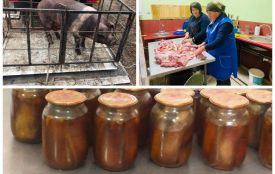 Освітяни Калинівки придбали свиню для ЗСУ та приготували з неї м’ясні консерви