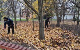 Куди вивозять опале листя з Вінниці? І чи займається хтось його перероблюванням?