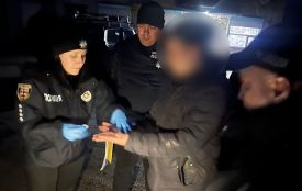 Лісника затримали на хабарі у 50 тисяч гривень. Він хотів продати сосну