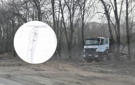 Скандал біля заказника «Стрижавська орхідея»: хто вирубує дерева та чи має на це право?