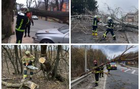 У Вінниці вітер пошкодив автівку, а за містом повалив дерева і заблокував автошляхи
