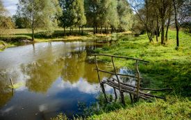 Ландшафтний заказник «Лучанське» звільнили від незаконного мисливства та повернули під держохорону