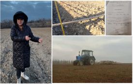 «Що це, як не земельна афера?»: в Іллінцях віддали у власність пам’ятку Трипілля